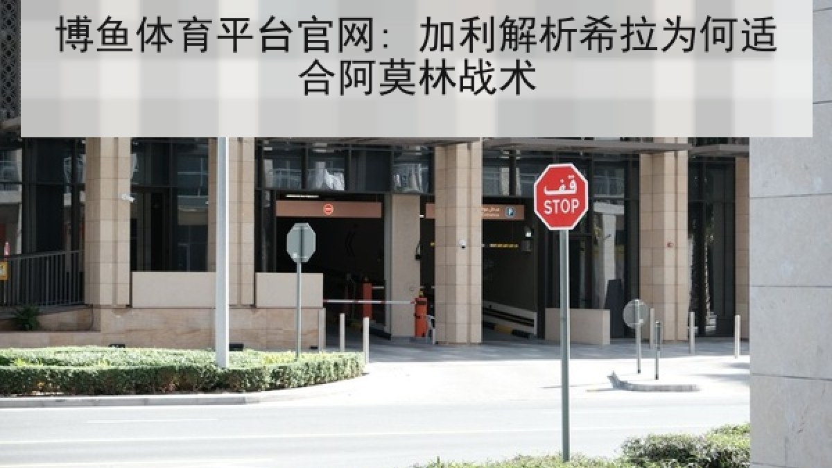 博鱼体育平台官网: 加利解析希拉为何适合阿莫林战术 博鱼体育平台官网: 加利解析希拉为何适合阿莫林战术